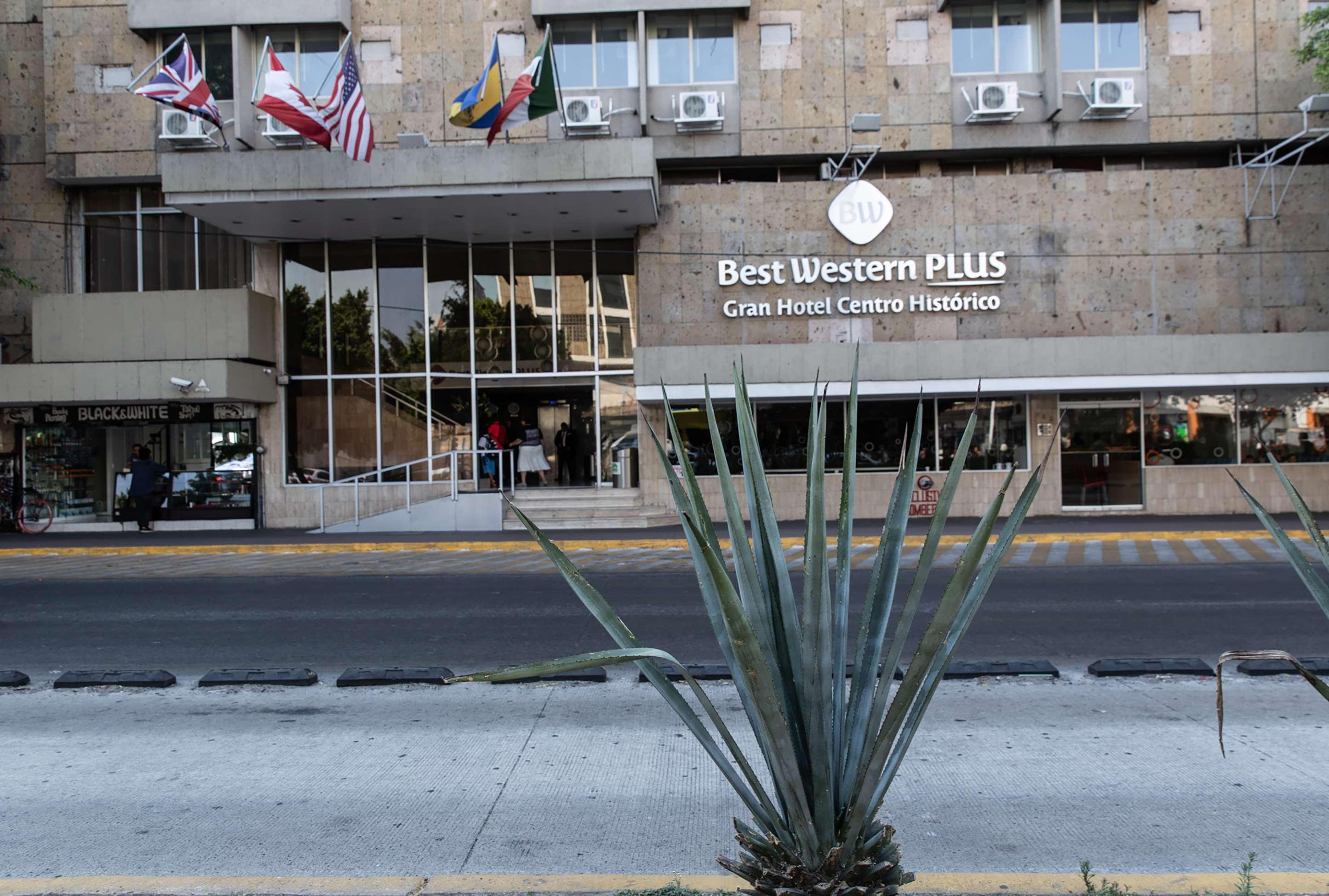 ᐉ BEST WESTERN PLUS GRAN HOTEL CENTRO HISTORICO ⋆⋆⋆ ( GUADALAJARA, MÉXICO )  FOTOS DE VIAJEROS Y OFERTAS EXCLUSIVAS